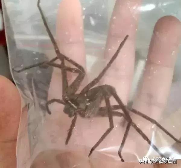 地方新闻 第115页