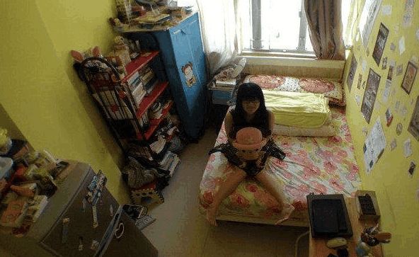 第1036页